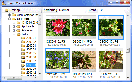 Ein Control, das Bilder als Miniaturansicht (Thumbnails) anzeigen kann